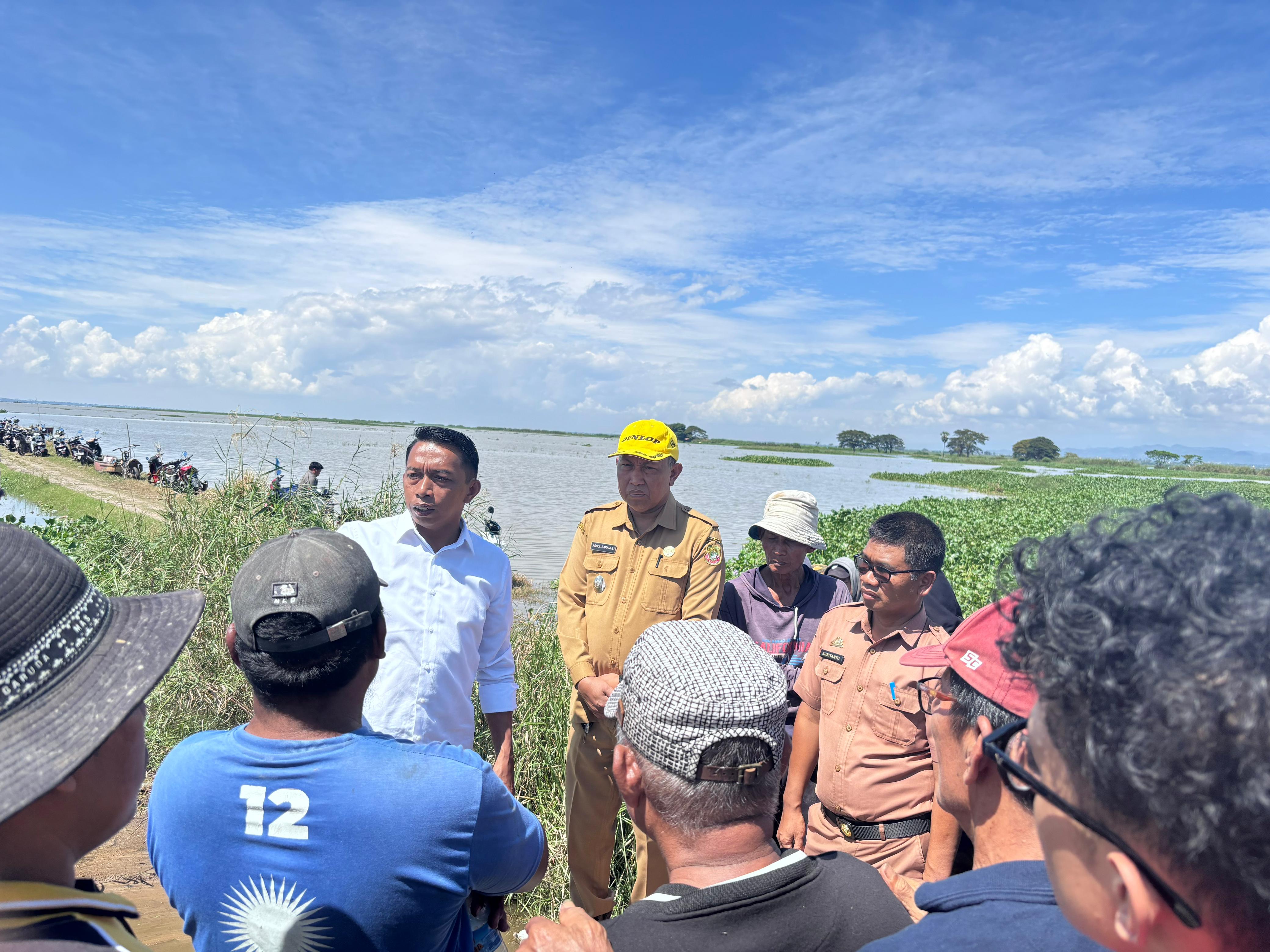 Kebanjiran Akibat Bendung Gerak, Petani Terancam Gagal Panen 1.400 Hektar di Sidrap