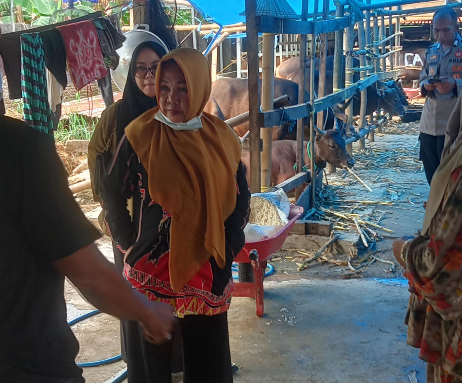 Disnakbun Gowa Pastikan RPH-Penggemukan Sapi CV Cahaya Intan Permata Langgar Perda