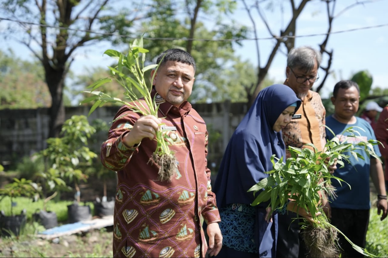 Tinjau Urban Farming, Appi Targetkan Kemandirian Pangan Bagi Warga