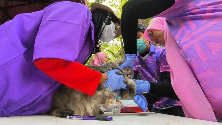 Peringati Hari Rabies Sedunia, Dinkes Vaksin Gratis Ratusan Hewan di Maros