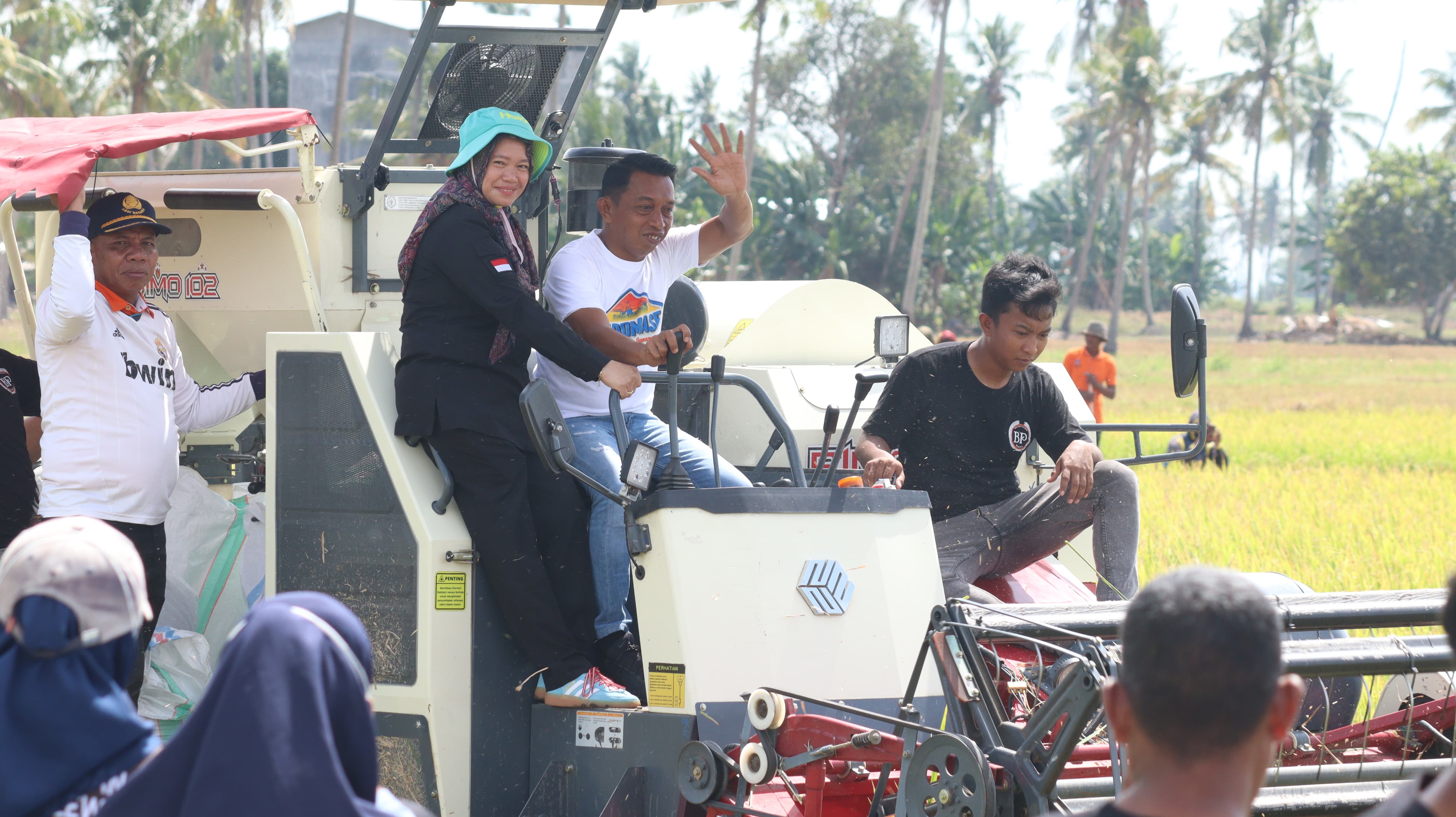 Direktur Alsintan dan Bupati Panen Raya di Sidrap 