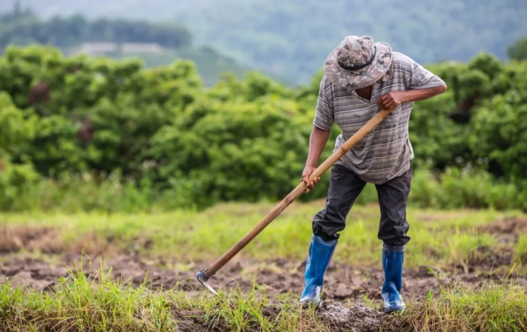 Babak Baru Reforma Agraria, Ribuan Hektare Tanah Negara Siap Dikelola Lebih Transparan