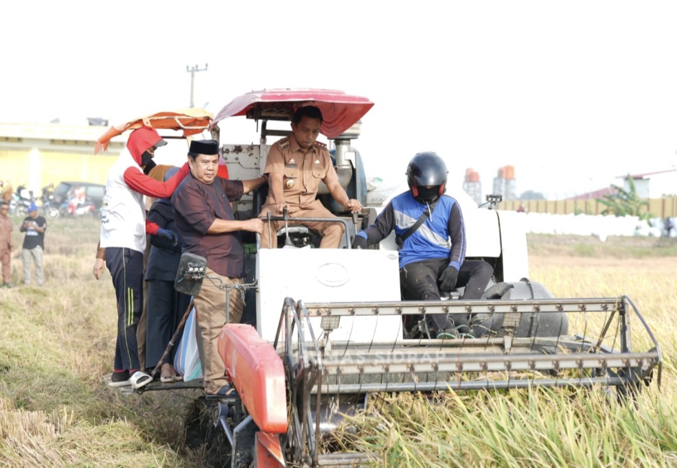Panen Raya Salobukkang Hasilkan Ribuan Ton Gabah, Bupati Sidrap Optimis Sektor Pertanian