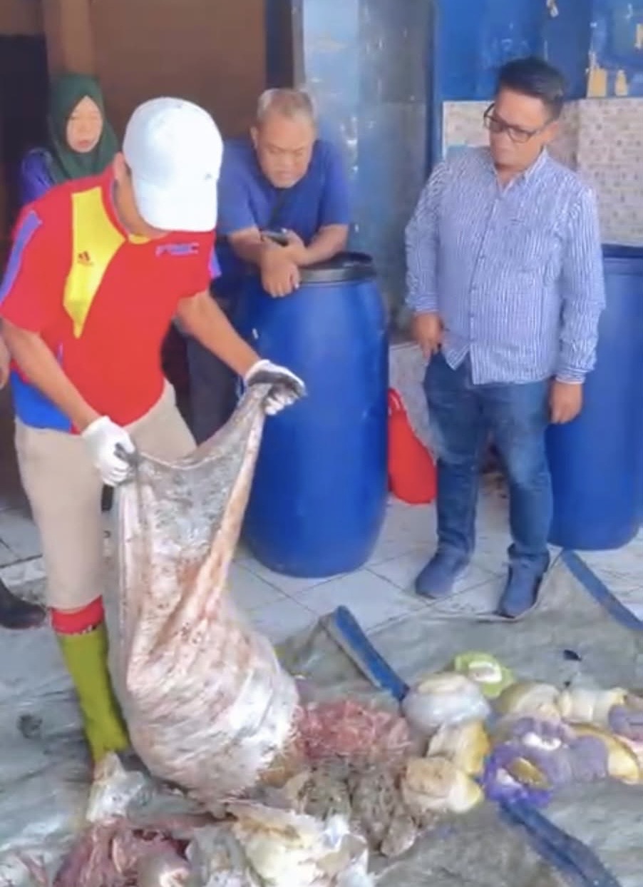 Limbah Ikan Paotere dan Peluang Membangun Ekonomi Sirkular