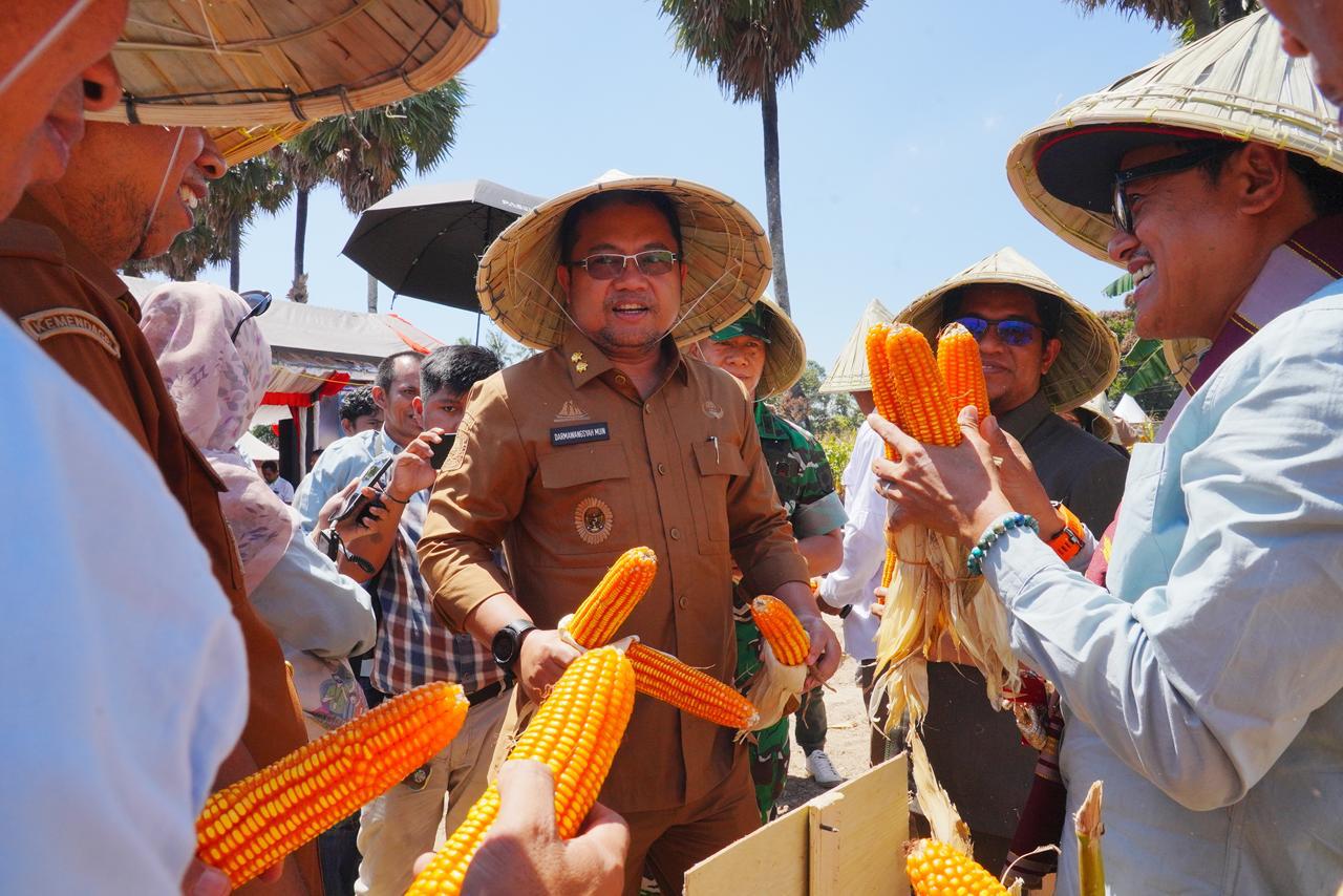 Dorong Peningkatan Produksi Jagung, Wabup DM Andalkan NK Sumo