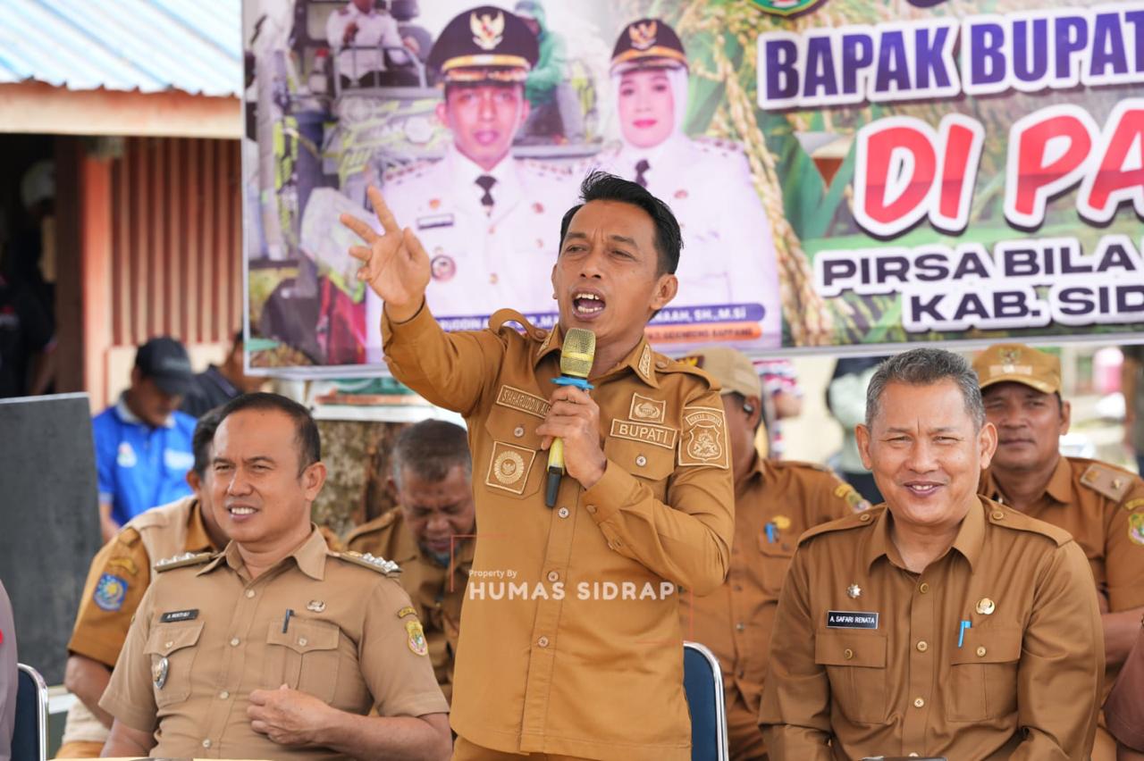 Berkat Program Pertanian Syaharuddin-Nur Kanaah, Petani di Salomallori Kantongi Rp 11 Juta/Bulan