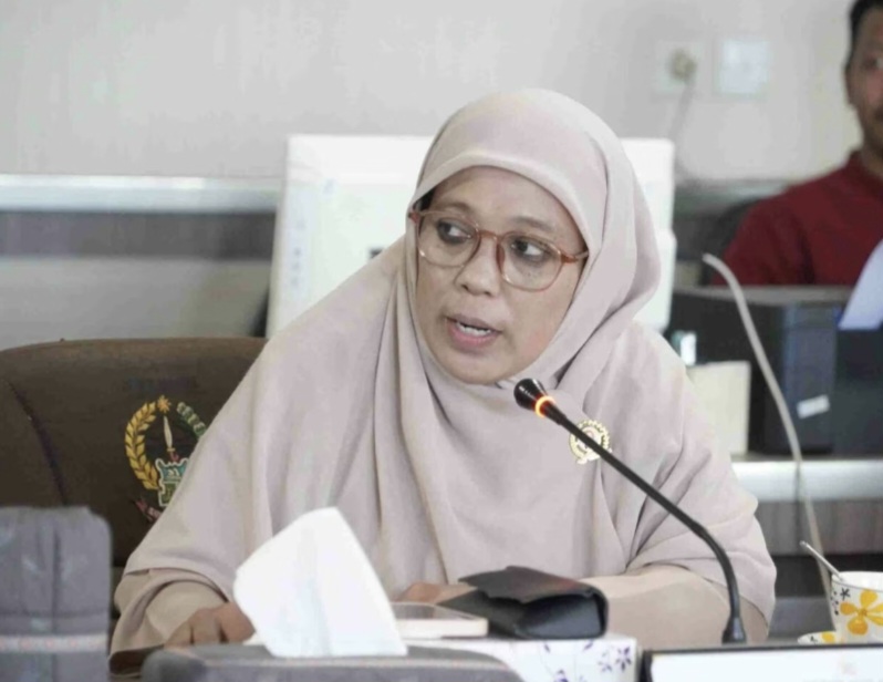 Dewan Soroti Posisi Dewas di RS Milik Pemprov, Ditunjuk Tanpa Tes