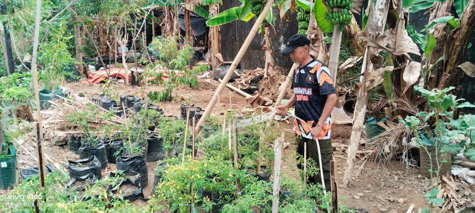 Warga Longwis Cinta Bersiap Kembali Menanam