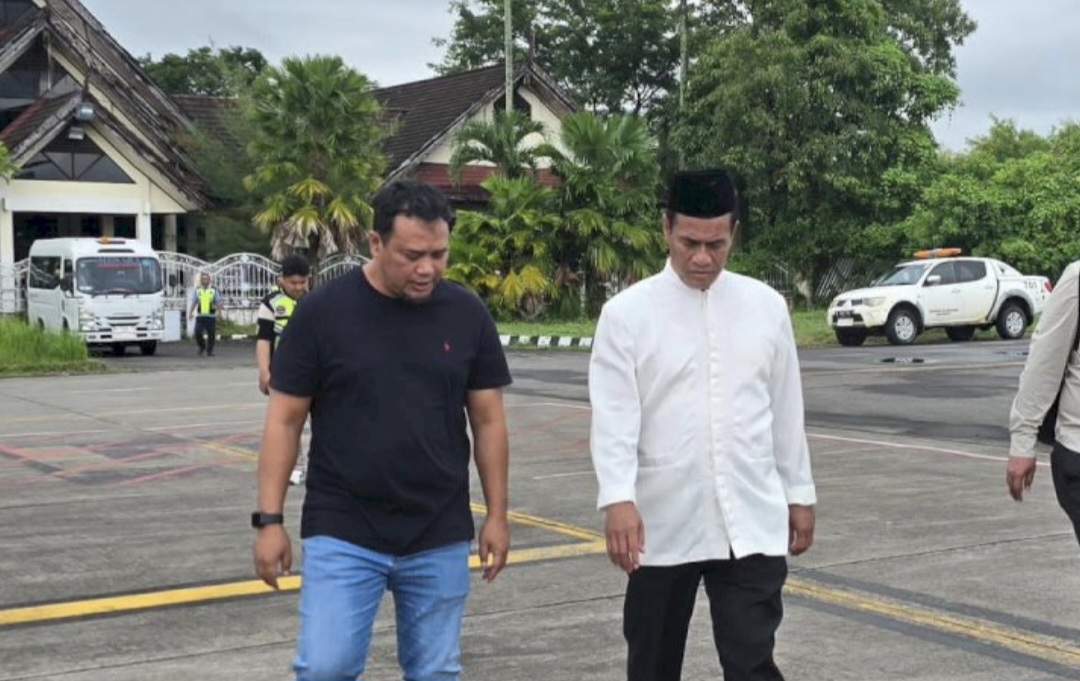 Mentan Tetapkan Harga dan Siapkan Anggaran, Pekarangan Pun Bisa  Penuh dengan Jagung