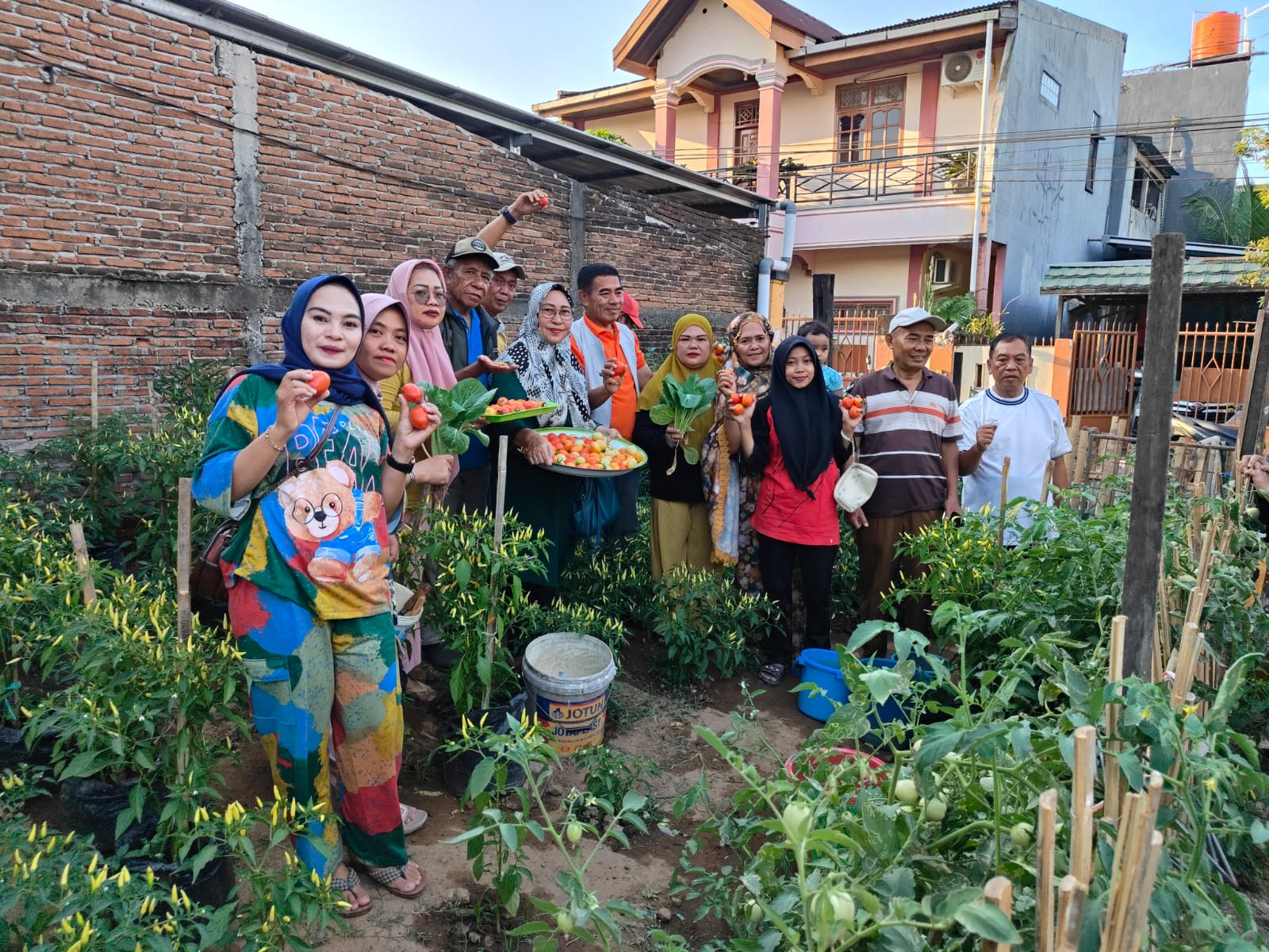 Pupuk Organik Tingkatkan Hasil Panen Longwis Asoka