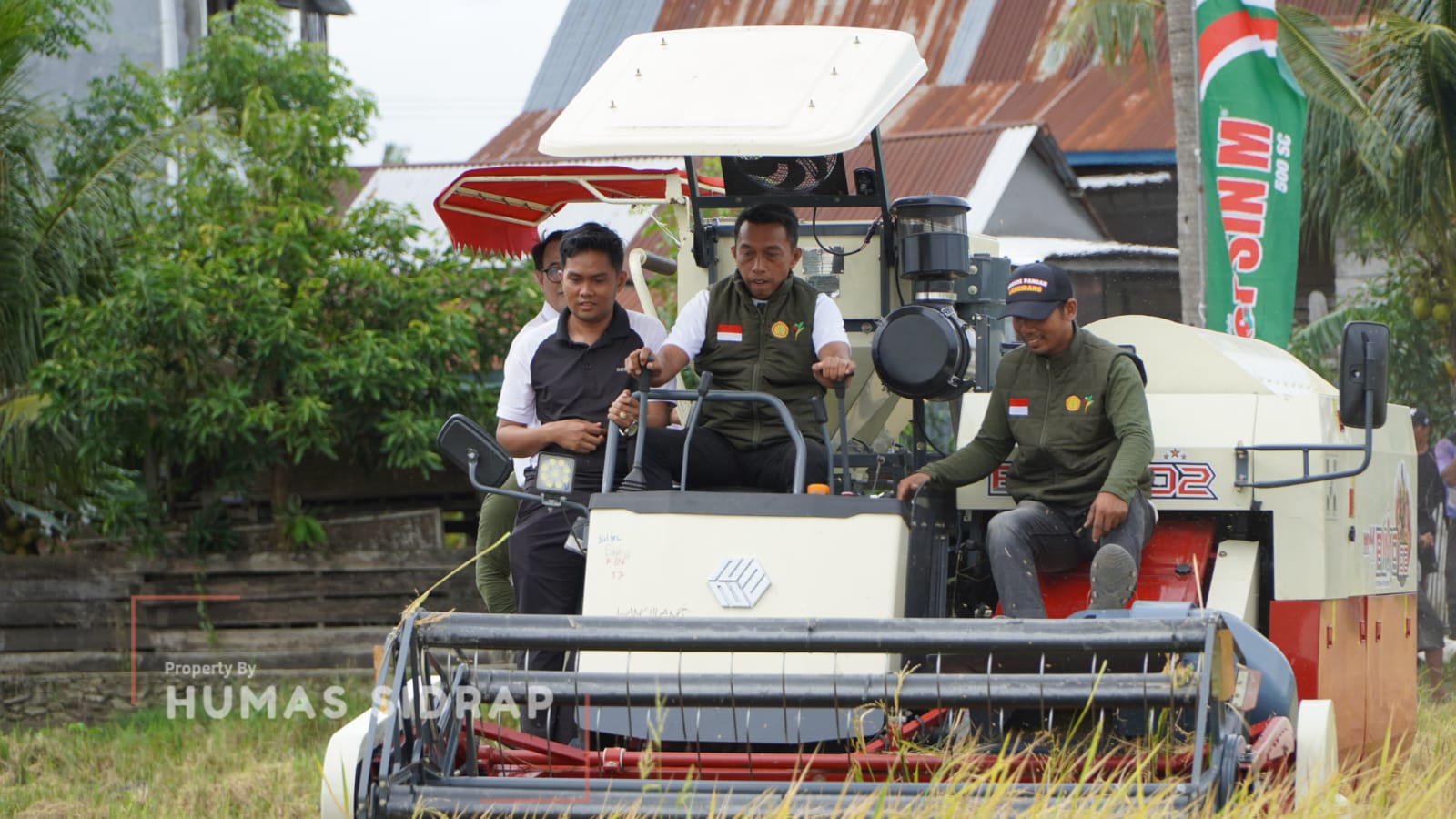 Lancirang Panen IP300, Mantapkan Peran Sidrap Penyangga Pangan Nasional
