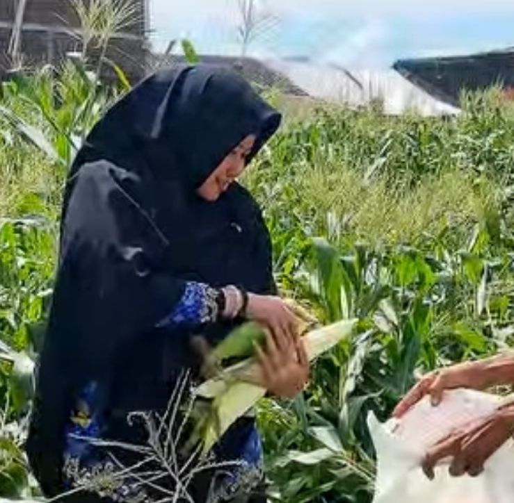 DP2 Kota Makassar Dorong Pengembangan Varietas Unggul