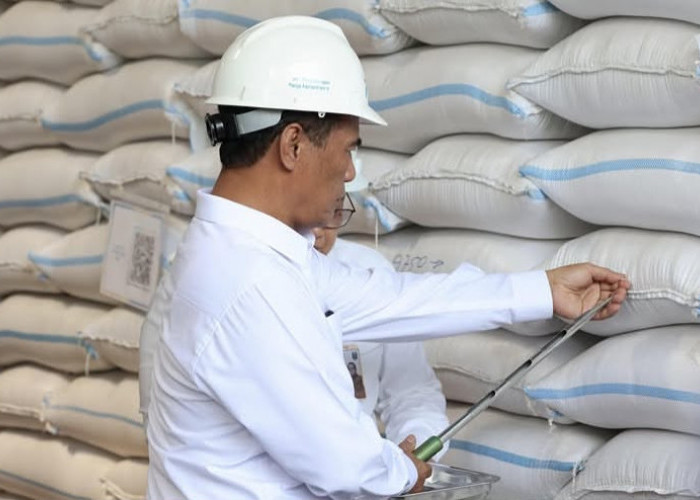 FAO Akui Keunggulan Pangan Nasional: Stok Beras Melimpah, Indonesia Tak Lagi Impor dan Siap Ekspor