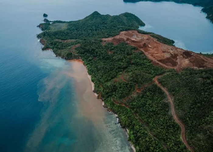Sebut Pertambangan di Raja Ampat Melanggar UU, Menteri LH Mengaku Awasi Empat Perusahaan Tambang  Nikel
