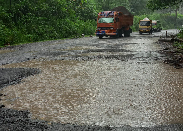 Poros Malino Rusak Berat, Pengguna Jalan Seolah Melintas di Jalan Ternak