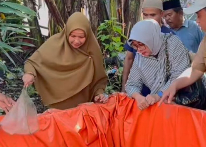 DP2 Makassar Salurkan Ribuan Bibit Lele dan Pakan untuk Warga, Dorong Ketahanan Pangan Lewat Urban Farming