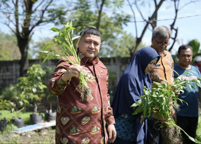 Tinjau Urban Farming, Appi Targetkan Kemandirian Pangan Bagi Warga