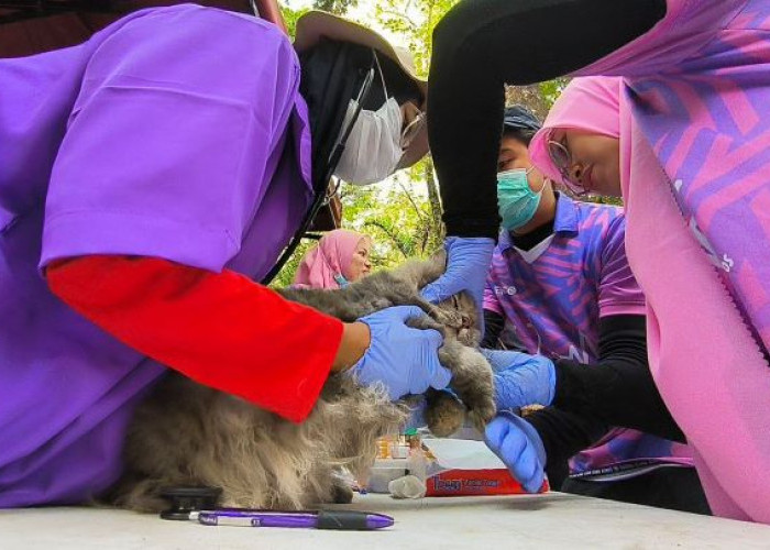 Peringati Hari Rabies Sedunia, Dinkes Vaksin Gratis Ratusan Hewan di Maros