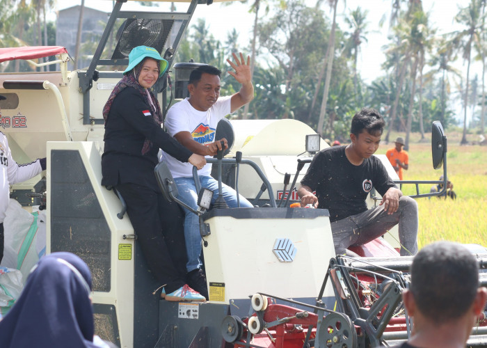 Direktur Alsintan dan Bupati Panen Raya di Sidrap 