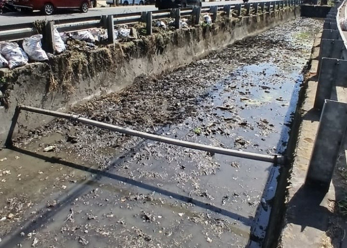 Satgas Drainase Dinas PU Makassar Normalisasi Kanal Jalan Pengayoman Usai Aduan Warga di Lontara Plus