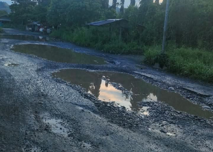 Jalan Provinsi di Gowa seperti Kubangan Kerbau, Kadis BMBK Sulsel : Tahun Ini Ditangani 
