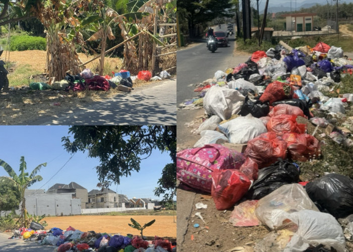 Warga Keluhkan Tumpukan Sampah di Tiga Titik Kecamatan Manggala