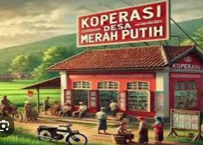 Bayi Sesar