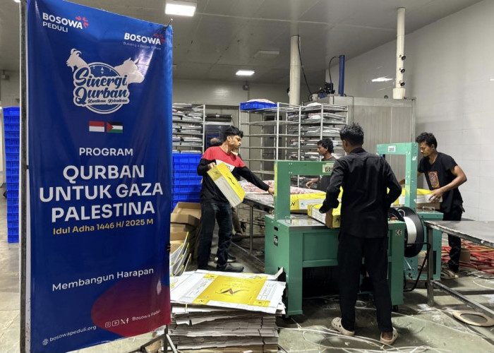 Bosowa Peduli Salurkan Hewan Qurban untuk Warga Gaza Palestina di Tengah Situasi Krisis
