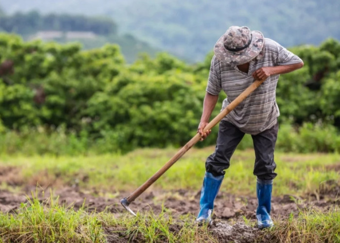 Babak Baru Reforma Agraria, Ribuan Hektare Tanah Negara Siap Dikelola Lebih Transparan