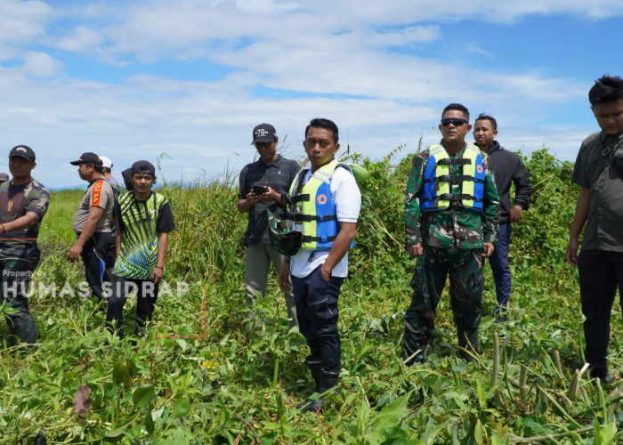 Peringatan Hari Juang TNI AD, Bupati Sidrap Pimpin Aksi Bersih Enceng Gondok di Danau Sidenreng 