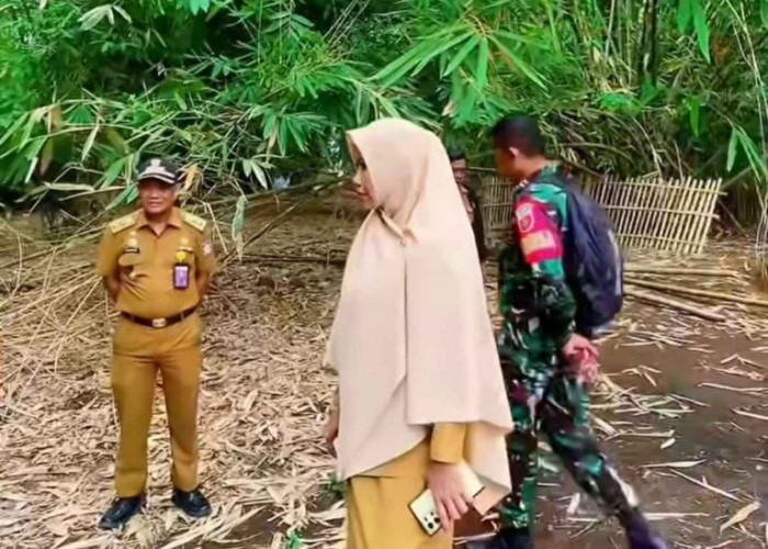 Kepala DP2 Makassar Mulai Tinjau Lokasi Pembibitan di Kelurahan Lakkang