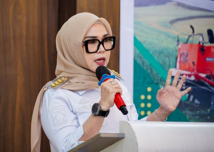 Eks Pimpinan DPRD Sulsel Tegaskan Tak Ada Pembahasan Anggaran  Bibit Nanas dalam APBD 2024
