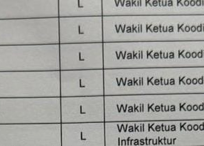 Hampir Pasti Rahman Pina Sekretaris dan Maqbul Halim Wakil Ketua Bidang Komunikasi Politik Golkar