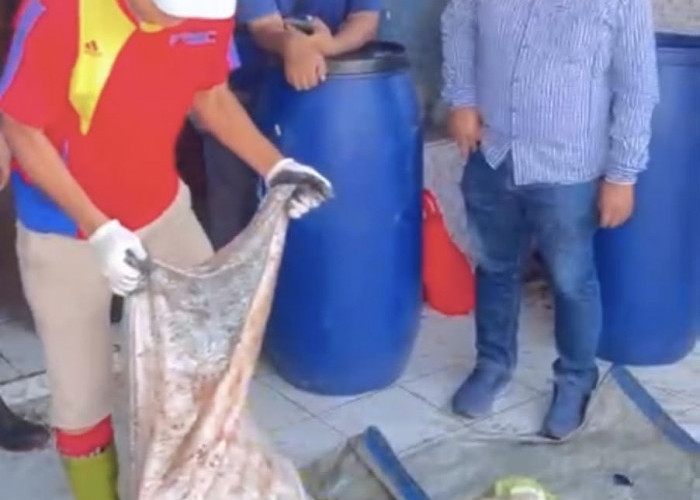Limbah Ikan Paotere dan Peluang Membangun Ekonomi Sirkular