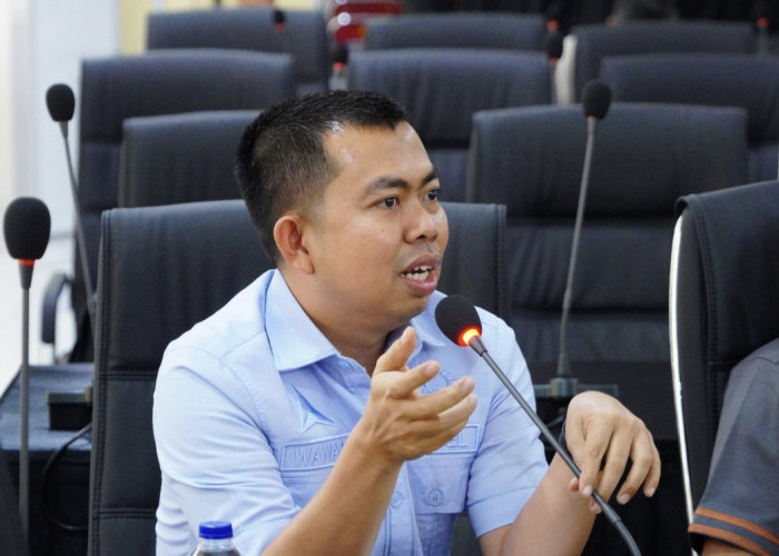 Komisi B DPRD Sulsel Pastikan Stok Ayam Broiler Aman, Dorong Stabilitas Harga