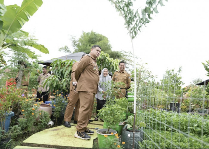 Program Urban Farming, Appi Minta Warga Maksimalkan Lahan Kosong