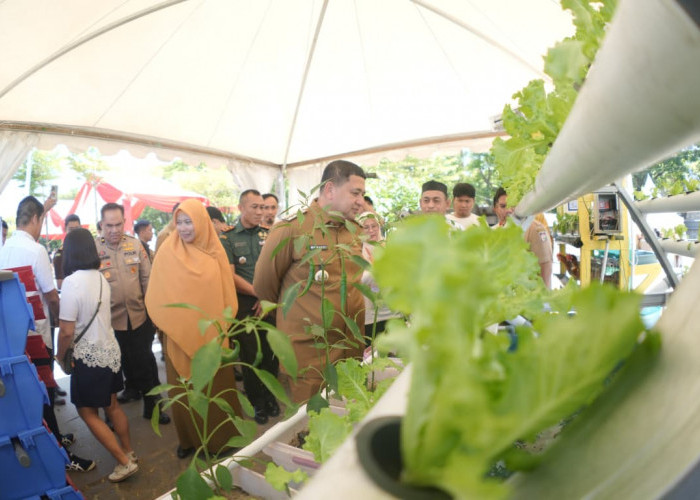 DP2 Kota Makassar Manfaatkan Lahan Sempit Jadi Ruang Produktif