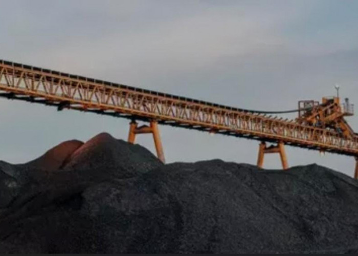 PT Mahakam Sumber Jaya Tegaskan Miliki Izin Operasi Tambang dan Apresiasi Langkah Satgas PKH Berantas Tambang 