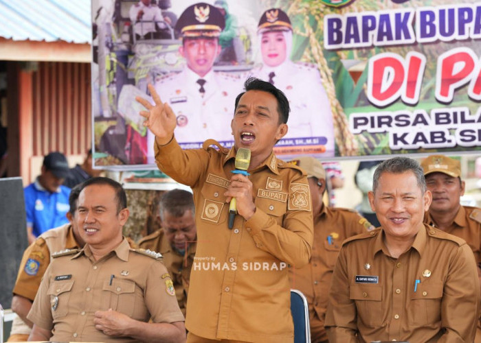 Berkat Program Pertanian Syaharuddin-Nur Kanaah, Petani di Salomallori Kantongi Rp 11 Juta/Bulan