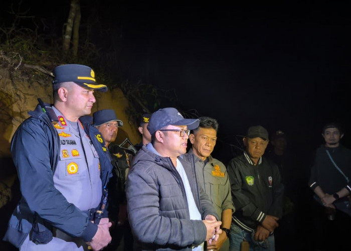 Ilegal Logging Marak di Gowa, Ratusan Hektare Hutan Lindung Rusak Dirambah