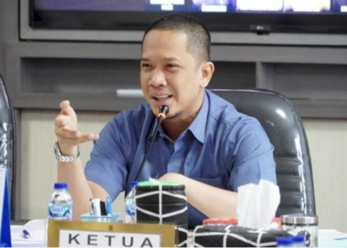Mizar Roem Desak Pemprov Sulsel Tindak Tegas Penyerobotan Aset di Sidrap