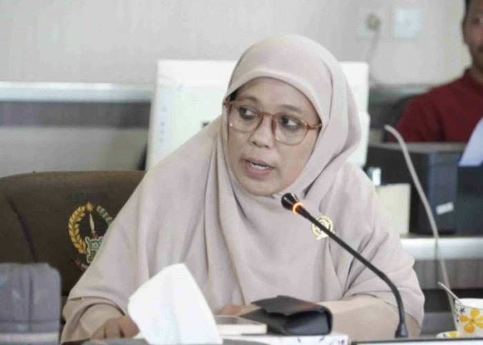 Dewan Soroti Posisi Dewas di RS Milik Pemprov, Ditunjuk Tanpa Tes