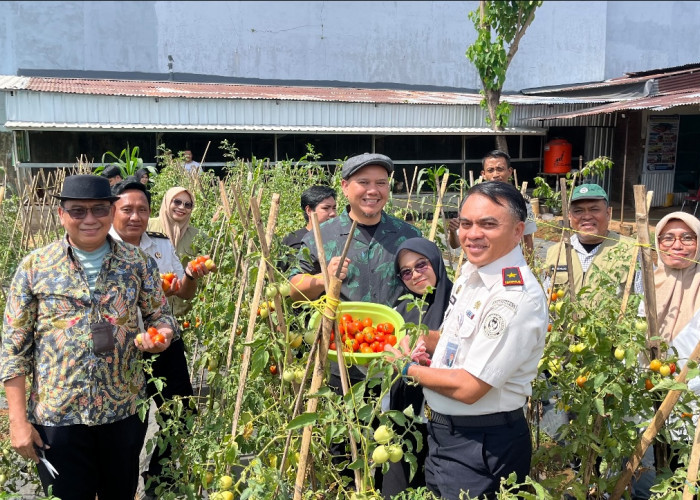 Dari Kebun Lapas ke Gerakan Kota: Mimpi Besar 459 Kebun untuk Makassar