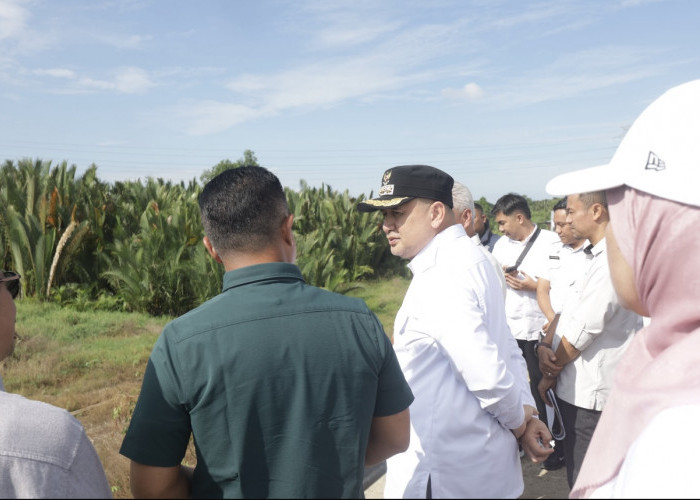 Urai Kemacetan Daerah Manggala, Pemkot akan Bangun Jalur Alternatif Baruga - Leimena