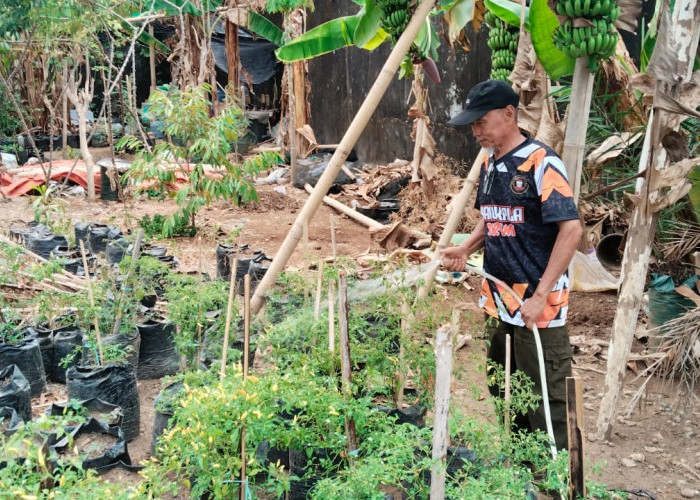 Warga Longwis Cinta Bersiap Kembali Menanam