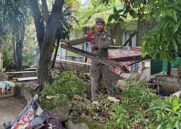 Lapak PKL di Jalan Kartini Ditertibkan Setelah Berdiri 25 Tahun di Atas Drainase