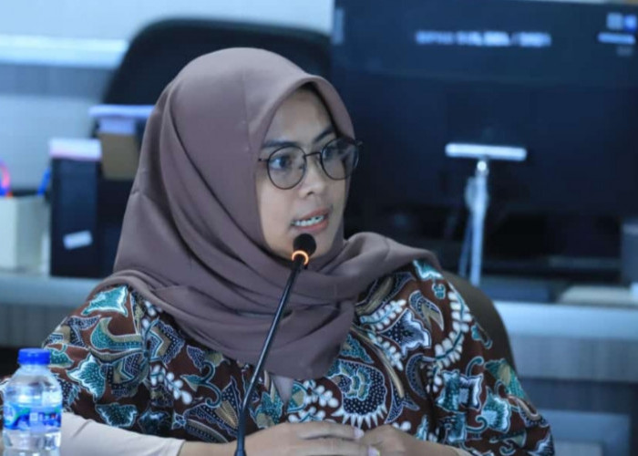 Bantu Pelaku UMKM, Legislator Gerindra Sulfiana Minta BPOM dan BPJH Bermitra dengan Labkesda Bone