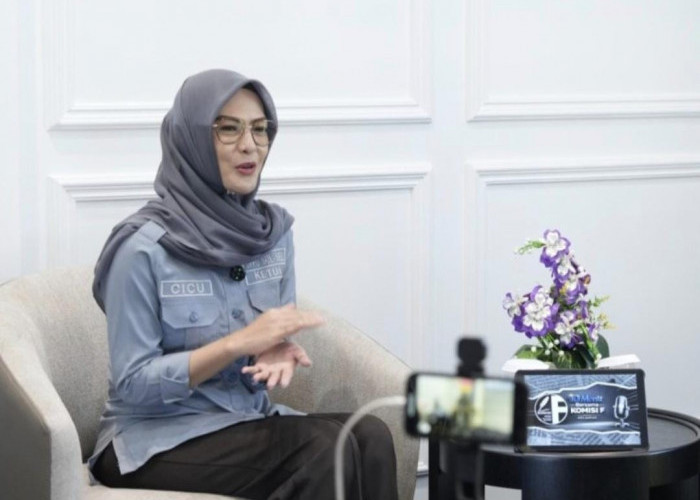 Ketua DPRD Sulsel Sikapi Aksi Blokade Jalan di Luwu Raya