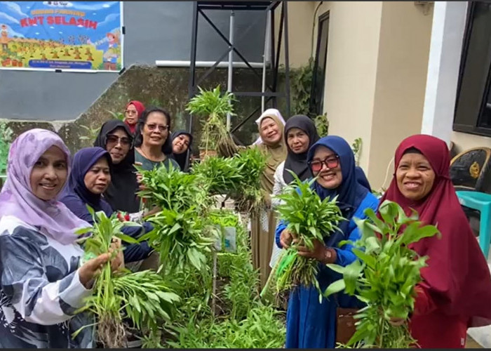 UNHAS Terapkan Teknologi Drip-Fertigasi di Makassar, Dukung Urban Farming
