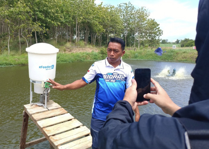 Bupati Sidrap Ajak Jurnalis Tinjau Sentra Perikanan, Pertanian, dan Peternakan Terintegrasi di Talumae